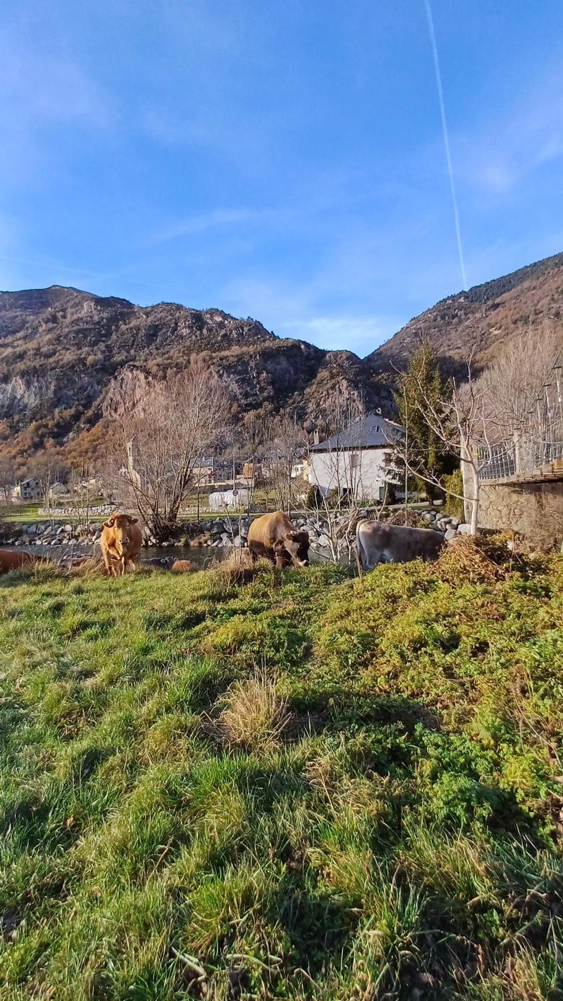 L'era De Baix Appartement Barruera